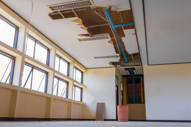 Best Sewage cleanup and water damage restoration  in Bel Ridge, MO