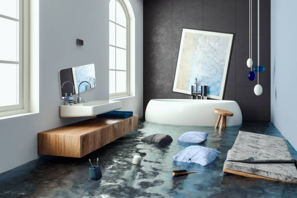 Best Mold removal after water damage  in Bel Ridge, MO