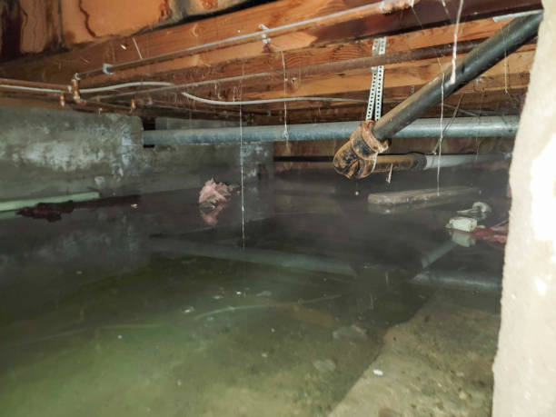 Best 24-hour water damage restoration  in Bel Ridge, MO