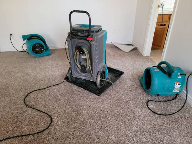 Best Sewage cleanup and water damage restoration  in Bel Ridge, MO
