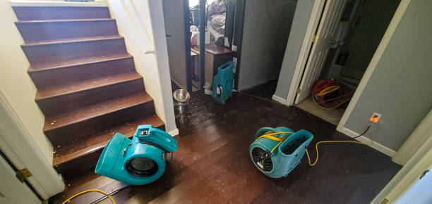 Best Water damage restoration near me  in Bel Ridge, MO