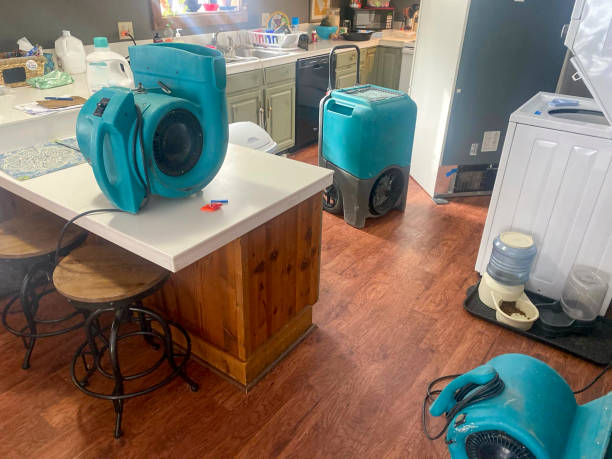 Best Commercial water damage restoration  in Bel Ridge, MO