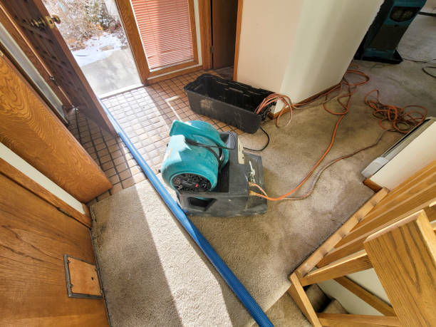Best Flood restoration services  in Bel Ridge, MO