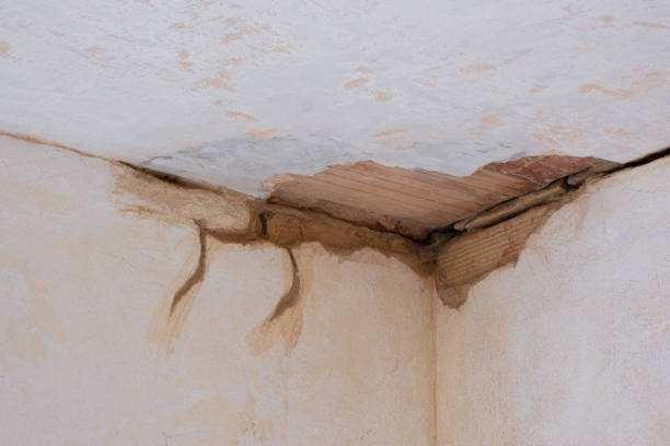 Reliable Bel Ridge, MO Water damage restoration Solutions