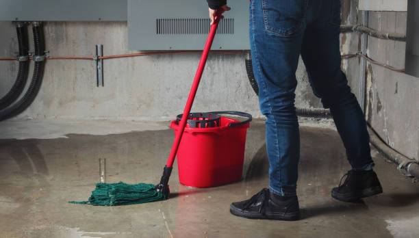 Best Professional water damage repair  in Bel Ridge, MO