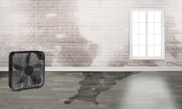 Best Water damage restoration near me  in Bel Ridge, MO