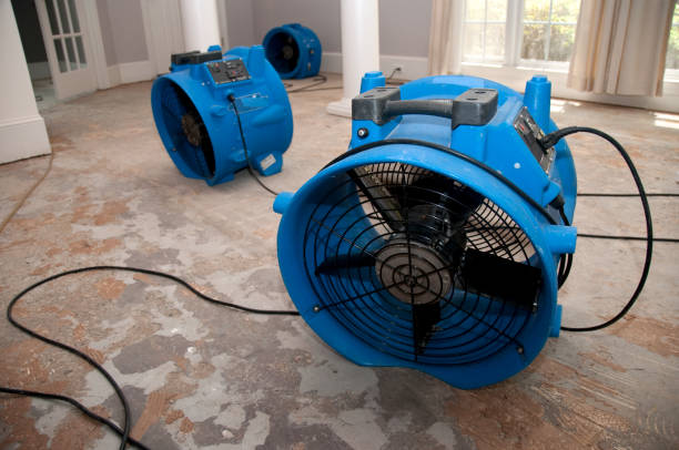 Best Carpet water damage restoration  in Bel Ridge, MO