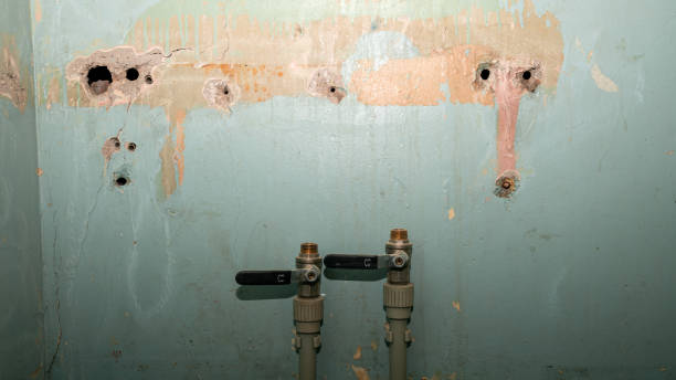 Best Water damage cleanup near me  in Bel Ridge, MO