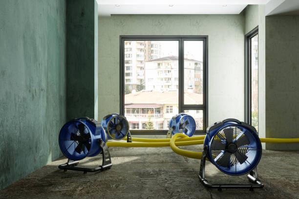 Best Basement water damage restoration  in Bel Ridge, MO