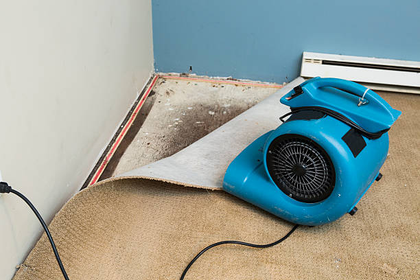 Best Carpet water damage restoration  in Bel Ridge, MO